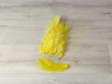 15 Straußenfedern 12 bis 20 cm gelb B-Ware