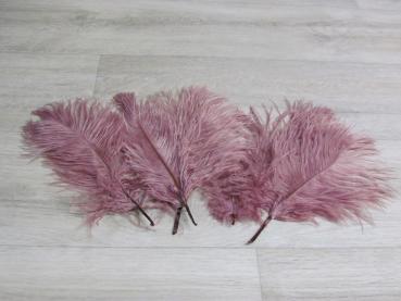 5 Straußenfedern 20 bis 25 cm aubergine