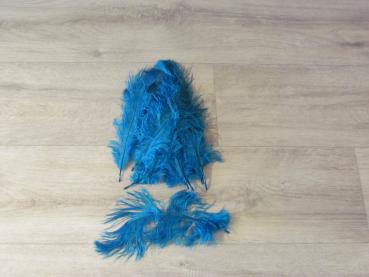 10 Straußenfedern 20 bis 25 cm helltürkis B-Ware