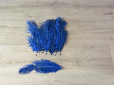 10 Straußenfedern 20 bis 25 cm royalblau B-Ware