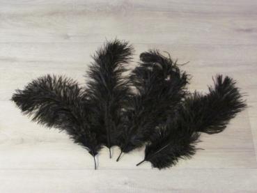 4 Straußenfedern 25 bis 35 cm schwarz B-Ware