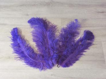 4 Straußenfedern 25 bis 35 cm violett B-Ware