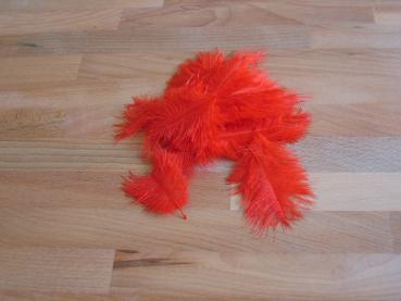 30 kleine Straußenfedern 5 bis 12 cm altorange B-Ware