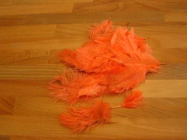 30 kleine Straußenfedern 5 bis 12 cm apricot B-Ware