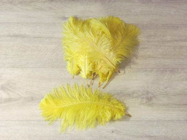 10 Straußenfedern 12 bis 20 cm gelb