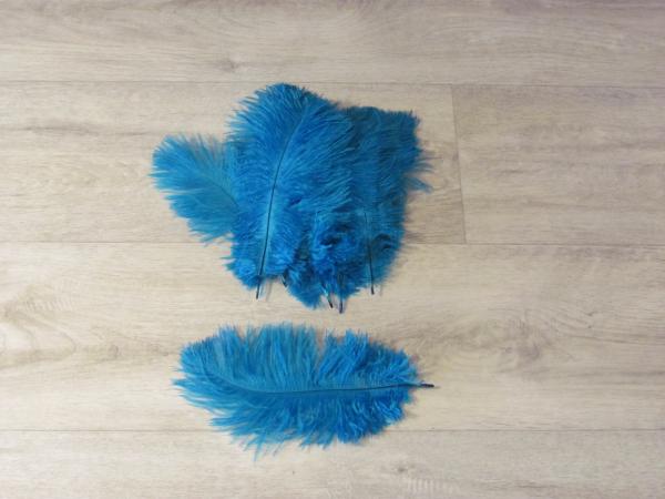 10 Straußenfedern 12 bis 20 cm helltürkis