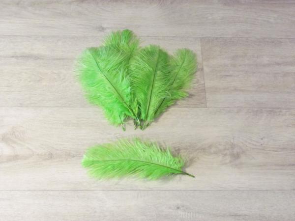 10 Straußenfedern 12 bis 20 cm limonengrün