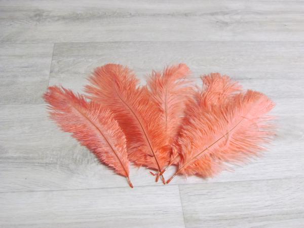 5 Straußenfedern 20 bis 25 cm apricot