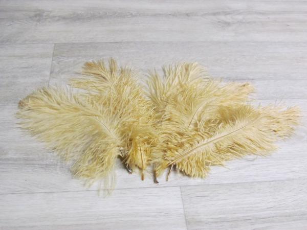5 Straußenfedern 20 bis 25 cm beige