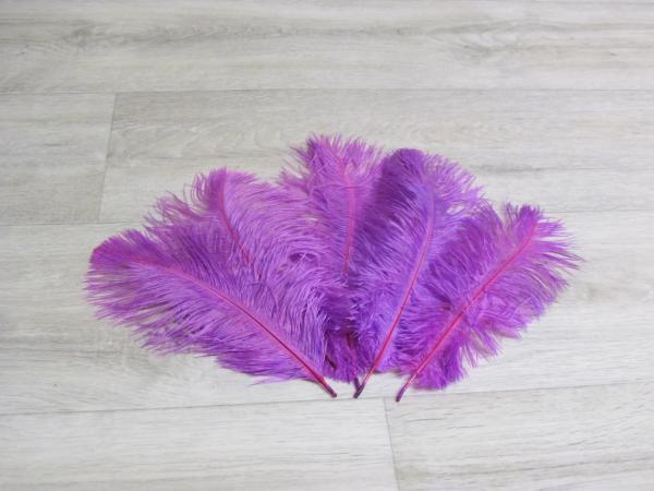 5 Straußenfedern 20 bis 25 cm fuchsie