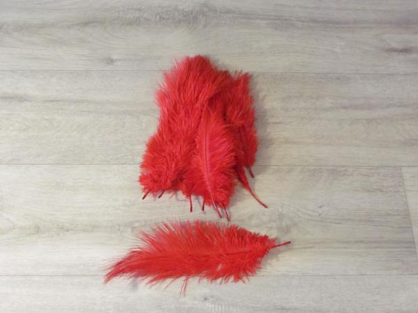 10 Straußenfedern 20 bis 25 cm goldrot B-Ware
