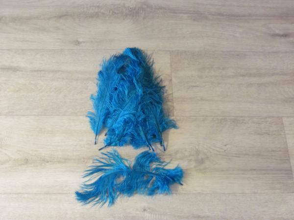 10 Straußenfedern 20 bis 25 cm helltürkis B-Ware
