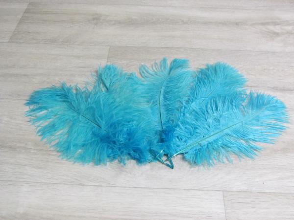 5 Straußenfedern 20 bis 25 cm helltürkis