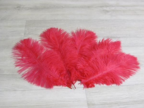 5 Straußenfedern 20 bis 25 cm kirschrot