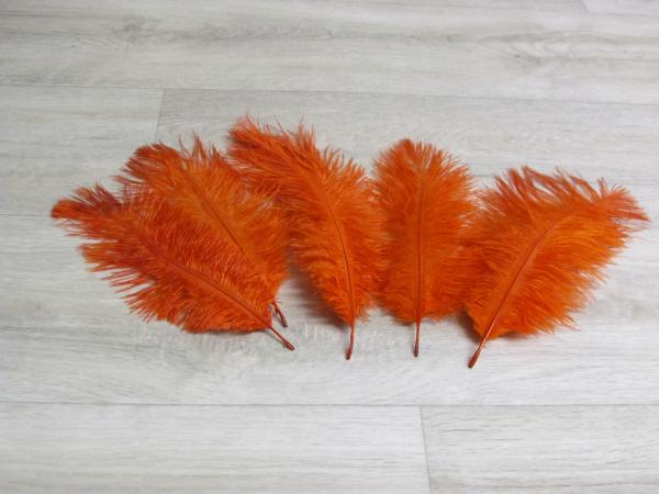 5 Straußenfedern 20 bis 25 cm korall