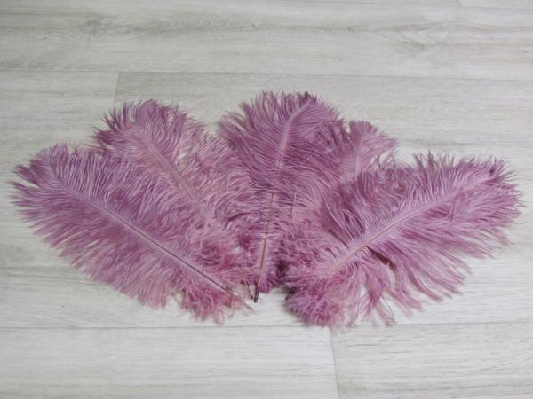 5 Straußenfedern 20 bis 25 cm mauve