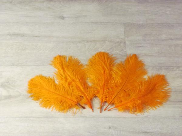5 Straußenfedern 20 bis 25 cm orange