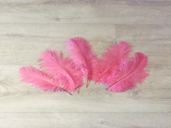 5 Straußenfedern 20 bis 25 cm pink