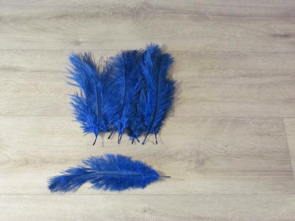 10 Straußenfedern 20 bis 25 cm royalblau B-Ware