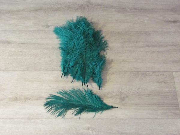 10 Straußenfedern 20 bis 25 cm smaragdgrün B-Ware