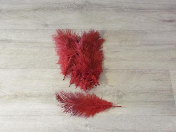 10 Straußenfedern 20 bis 25 cm weinrot B-Ware
