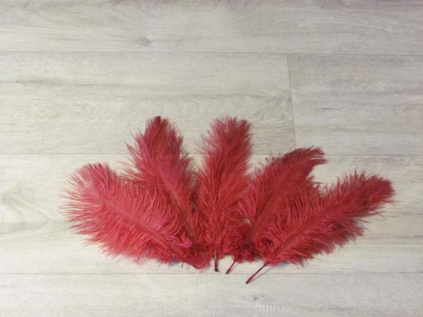 5 Straußenfedern 20 bis 25 cm weinrot