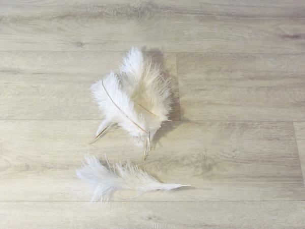 10 Straußenfedern 20 bis 25 cm weiß B-Ware