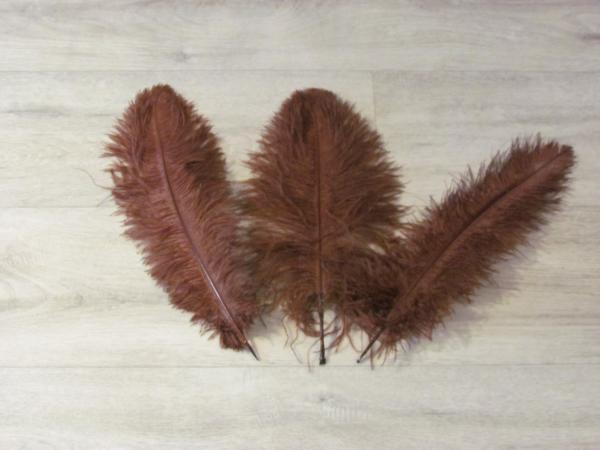 3 Straußenfedern 25 bis 30 cm braun