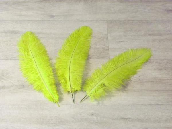 3 Straußenfedern 25 bis 30 cm chatreuse