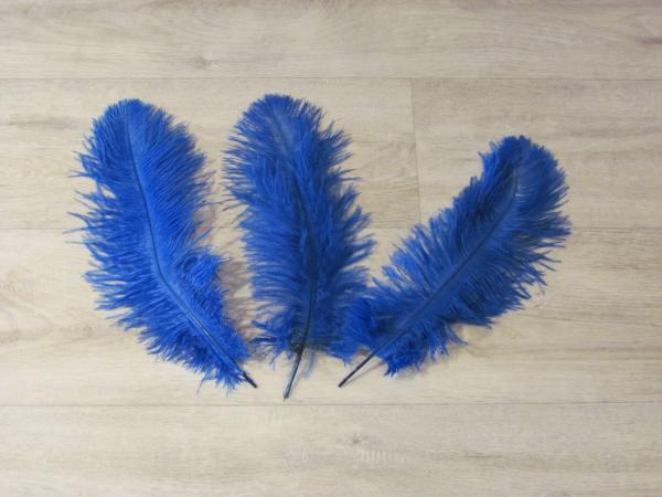 3 Straußenfedern 25 bis 30 cm royalblau