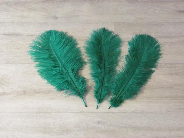 3 Straußenfedern 25 bis 30 cm smaragdgrün