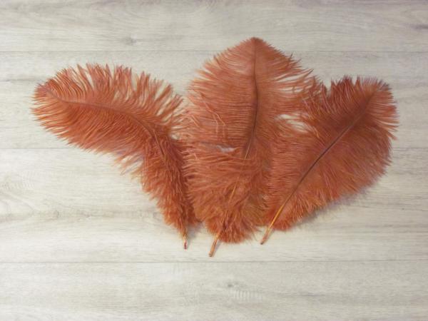 3 Straußenfedern 25 bis 30 cm toast