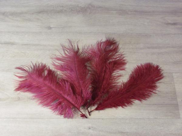 4 Straußenfedern 25 bis 35 cm bordeaux B-Ware
