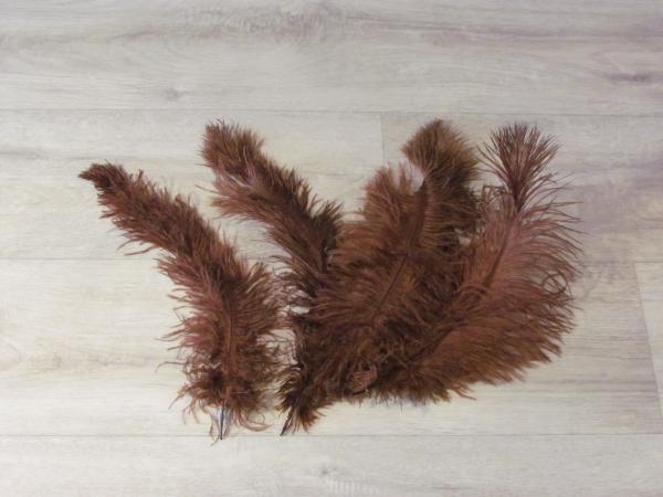 4 Straußenfedern 25 bis 35 cm braun B-Ware