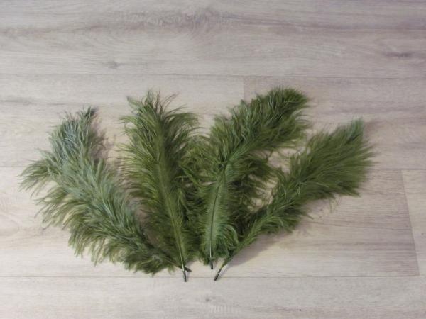 4 Straußenfedern 25 bis 35 cm efeu B-Ware