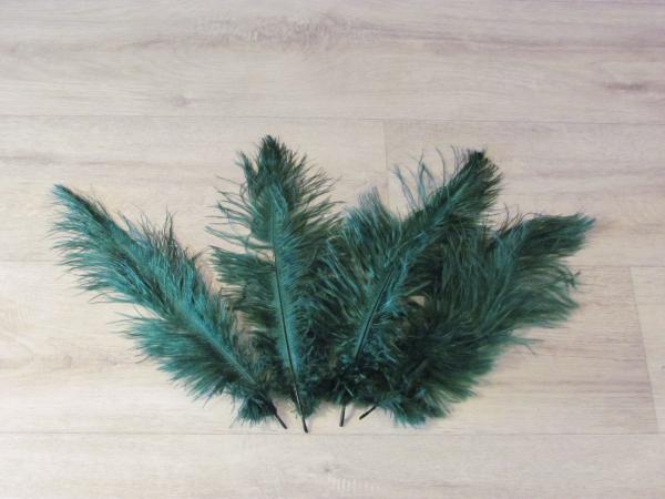 4 Straußenfedern 25 bis 35 cm flaschengrün B-Ware