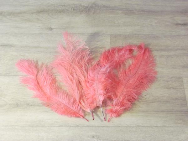 4 Straußenfedern 25 bis 35 cm rosapink B-Ware