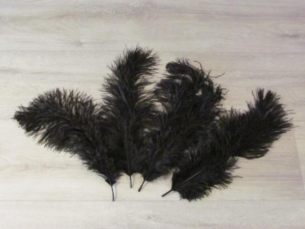 4 Straußenfedern 25 bis 35 cm schwarz B-Ware