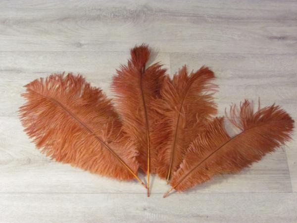 4 Straußenfedern 25 bis 35 cm toast B-Ware