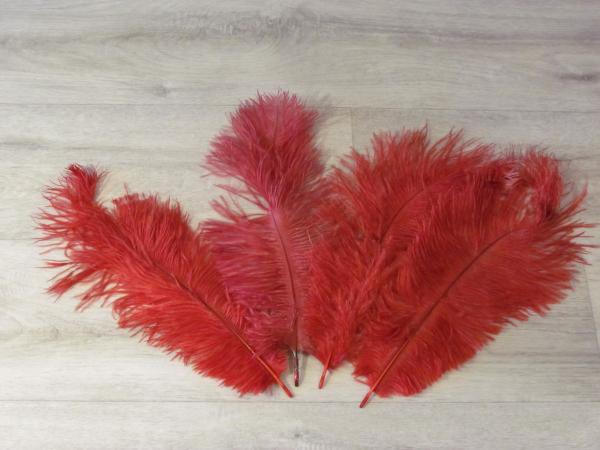 4 Straußenfedern 25 bis 35 cm weinrot B-Ware
