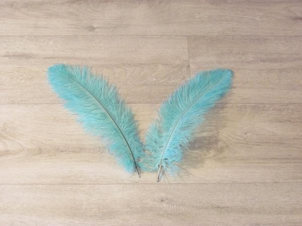2 Straußenfedern 30 bis 35 cm aqua