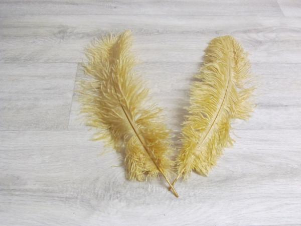 2 Straußenfedern 30 bis 35 cm beige