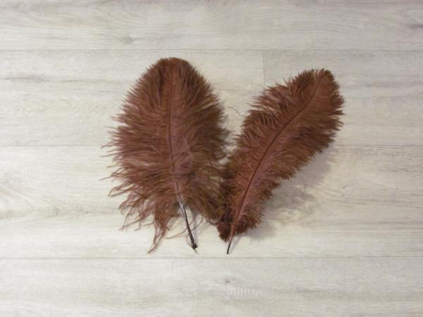 2 Straußenfedern 30 bis 35 cm braun