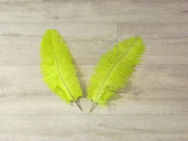 2 Straußenfedern 30 bis 35 cm chatreuse