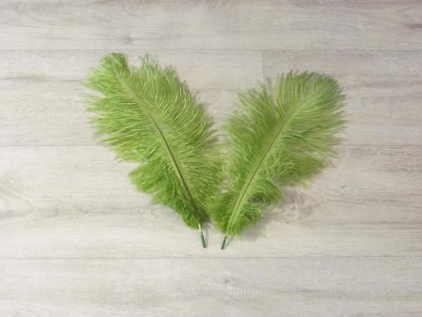 2 Straußenfedern 30 bis 35 cm efeu