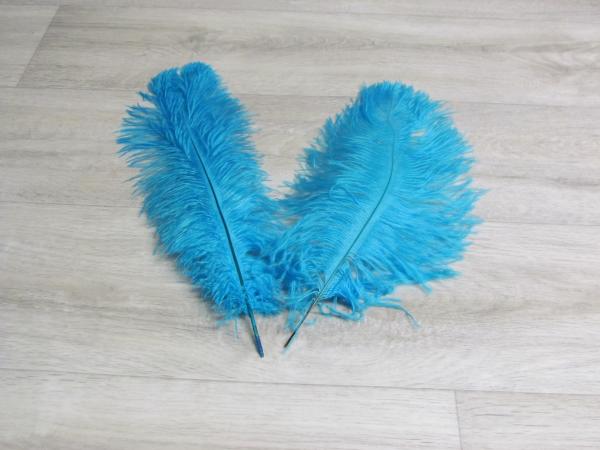 2 Straußenfedern 30 bis 35 cm helltürkis
