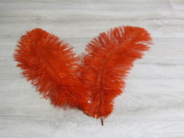 2 Straußenfedern 30 bis 35 cm korall