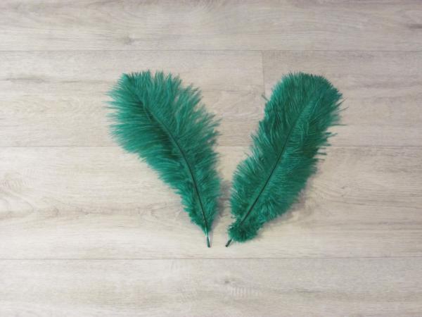 2 Straußenfedern 30 bis 35 cm smaragdgrün