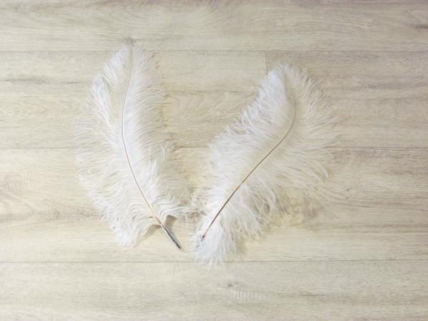 2 Straußenfedern 30 bis 35 cm weiß