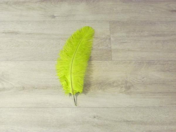1 Straußenfeder 35 bis 40 cm chatreuse